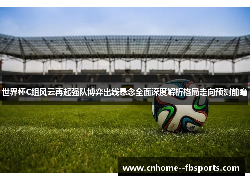 世界杯C组风云再起强队博弈出线悬念全面深度解析格局走向预测前瞻