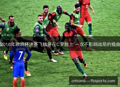 2016年欧洲杯决赛飞蛾停在C罗脸上 一次不影响战局的插曲